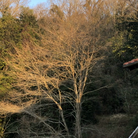 変化するにはの画像