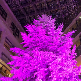 クリスマス気分の画像