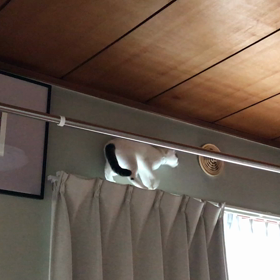 カーテンレールの画像