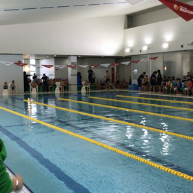 スイミングの大会の画像