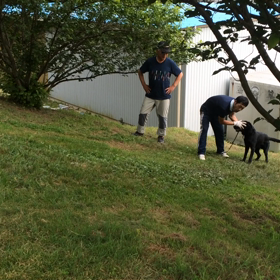 バズ救助犬の画像