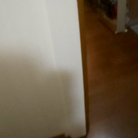 今度は多食？トワさんは…の画像