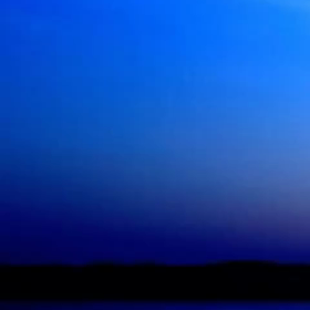 能ある鷹は爪を隠す 何故隠す？ も〜とにかく感動したの画像