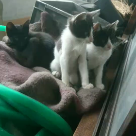 ぐるっとまわって〜wの画像