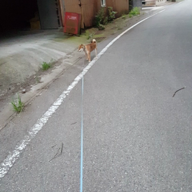 はなちゃん♪嫌がる 7月30日の画像