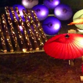 山鹿百華百彩(動画続き)の画像