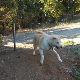 今年も１年。ありがとうございました！の画像