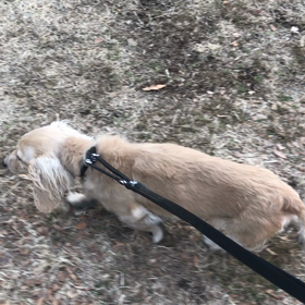 ♪お散歩動画♪代々木公園♪の画像