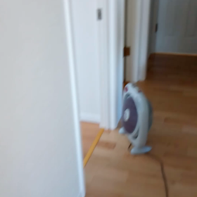 夏のヴァイオリン合宿【遊び動画編】の画像