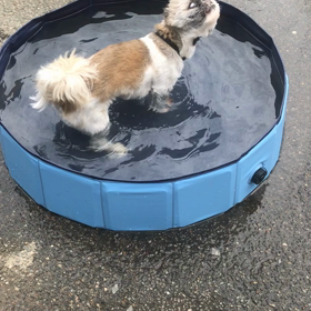 私の家政夫ナギサさん　第1話の画像