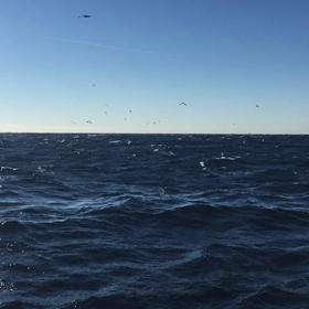 風が強いのMovieの画像