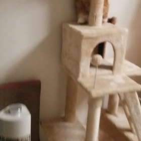 *たまたま見てたYouTubeのBGMと合ってて(笑)*の画像