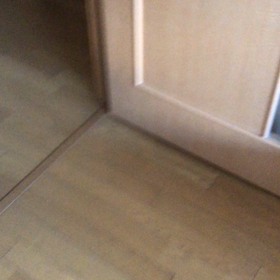 カードの限度額。チップ君癌用食。デールとおばあちゃん。の画像