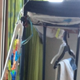 マリーちゃんが最近よく鳴く！　早く寝てくれにゃ…汗の画像