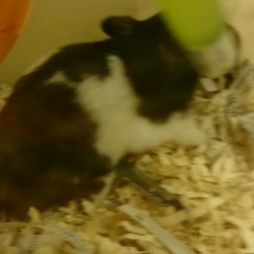 快適な睡眠のための画像