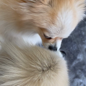 日曜日と月曜日。の画像