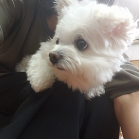 父の介護認定審査の画像