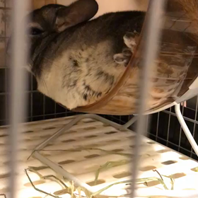 検診行って来たけど…の画像