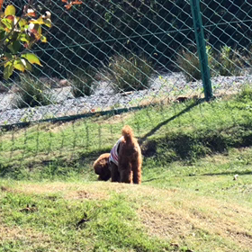 秋晴れの日曜日の画像
