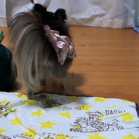 しつけ教室宿題べる編の画像