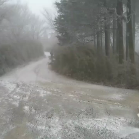 長距離、マラソン選手の足抜け・ヌケヌケ病29〜右手首の骨折が原因？〜の画像