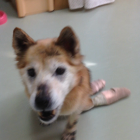 ボール遊びの画像