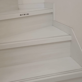 最近のしじみｻﾝの画像