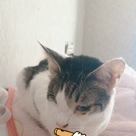 この子らしさの画像