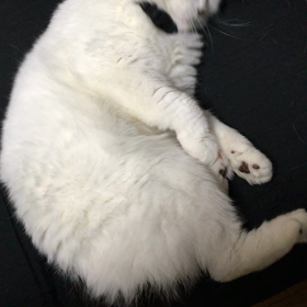 今日は雨ですねの画像