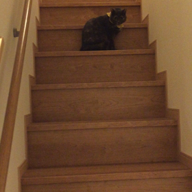 ひらめいた‼️の画像