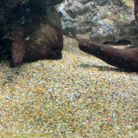 結局、高くついた。の画像