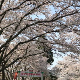 想い出の場所をもう一回こころにとどめるよの画像