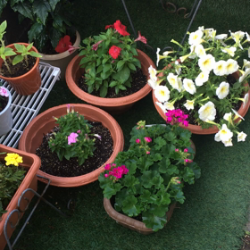 6月20日　緊急事態宣言解除！の画像