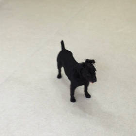 ♪プレイルーム動画♪②の画像