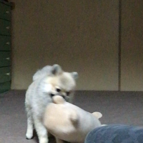 珍らしくの画像