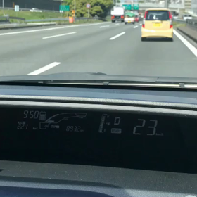 ワンコと一緒に女子会旅行の画像