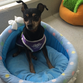 ♪プレイルーム動画♪②の画像