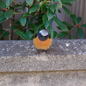 動画のテストの画像