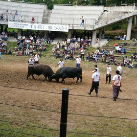 新潟2の画像
