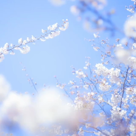 すごく、すごく、すごく、久しぶりの更新ですが（笑）の画像