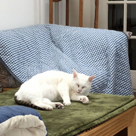 急に水が飲みたくなったの画像