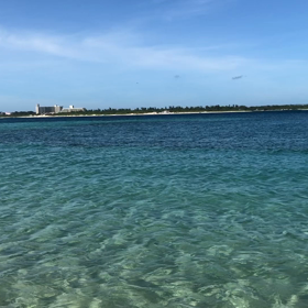 寝る前にビーチの動画を♫の画像