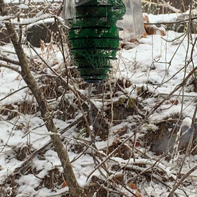 巨大化の流れの画像