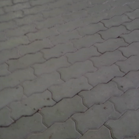 ボール大好きだからの画像