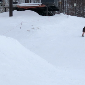 今日はグラトリを。の画像