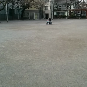 補助なしの画像