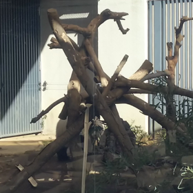 会いたいッの画像