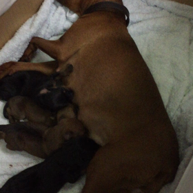 みかんママの画像