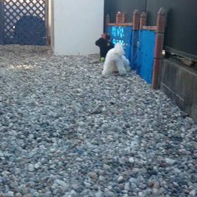 ボール遊びの画像