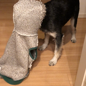 固まったの画像